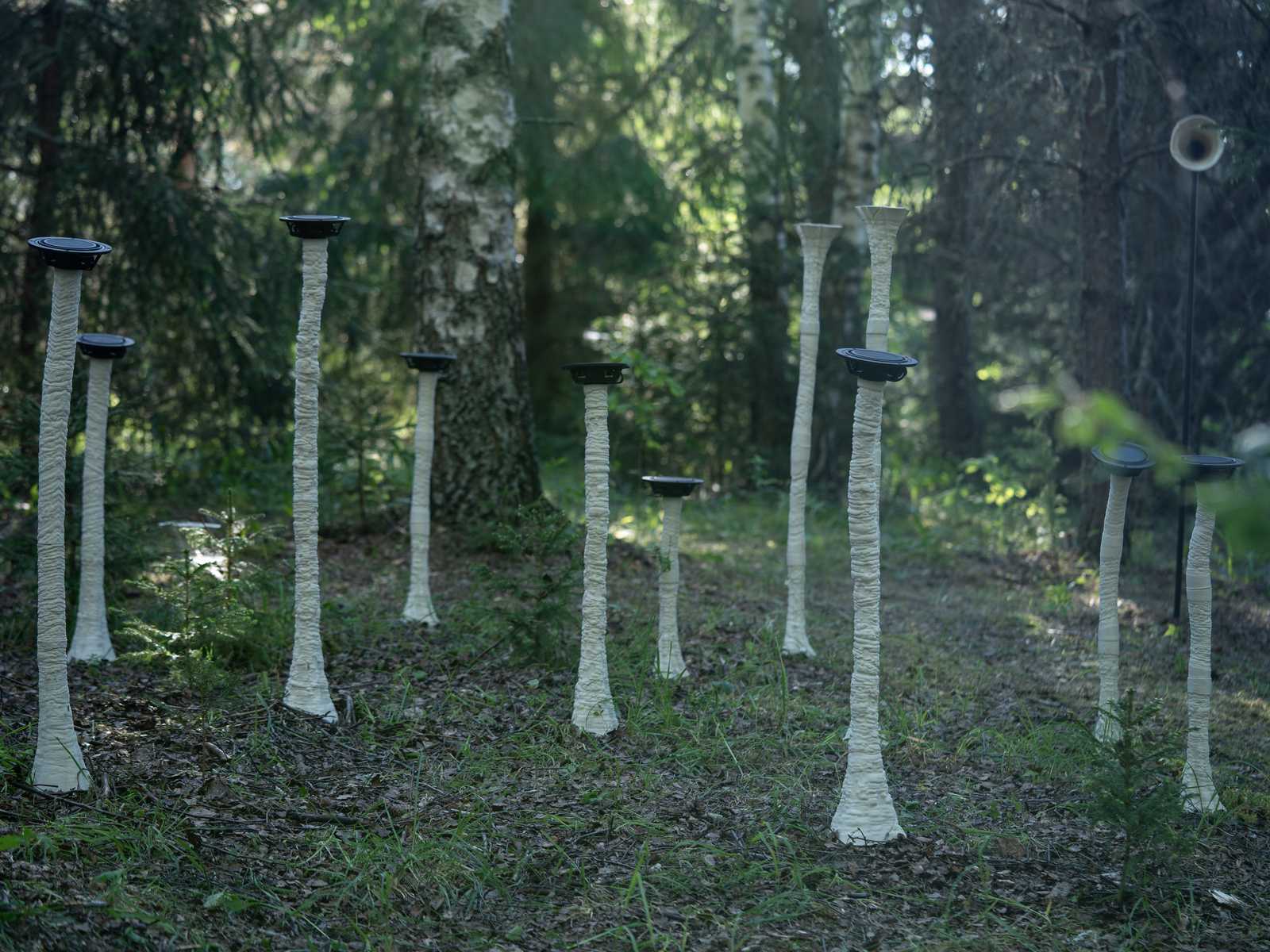 Fungi