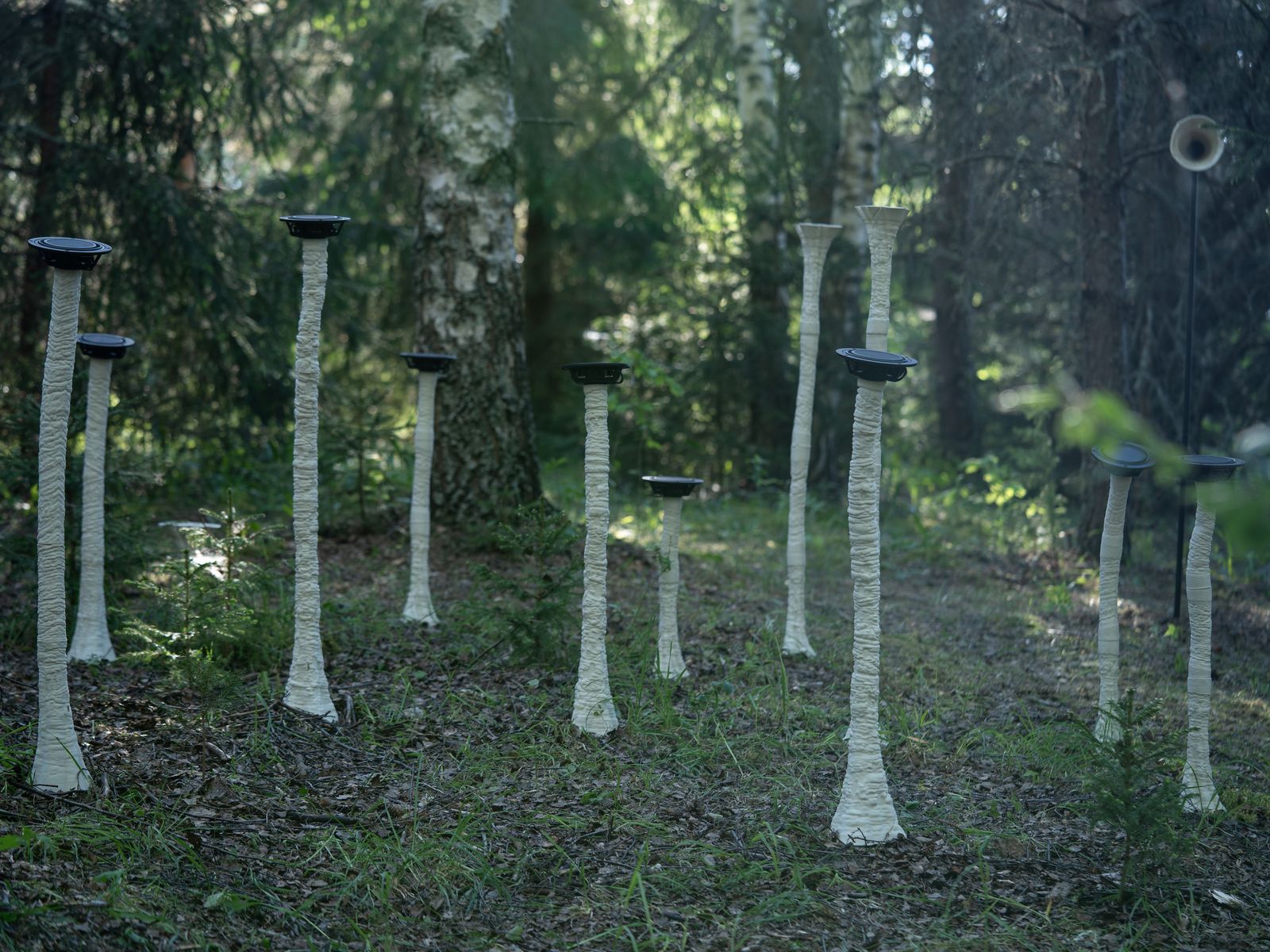 Fungi